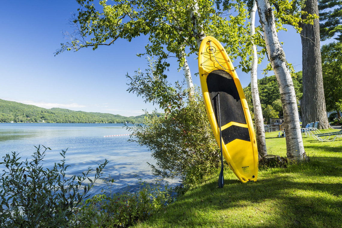 Kayak up against tree near lake