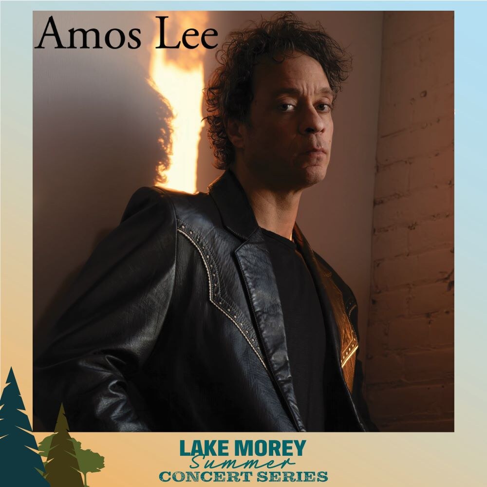 AMOS LEE